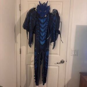 Blue Dragon Kids Costume